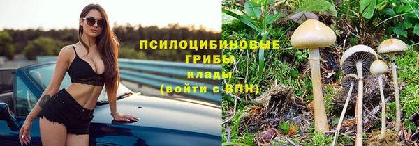 дмт Долгопрудный