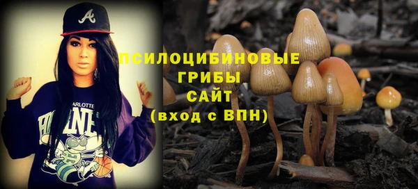 стаф Орехово-Зуево